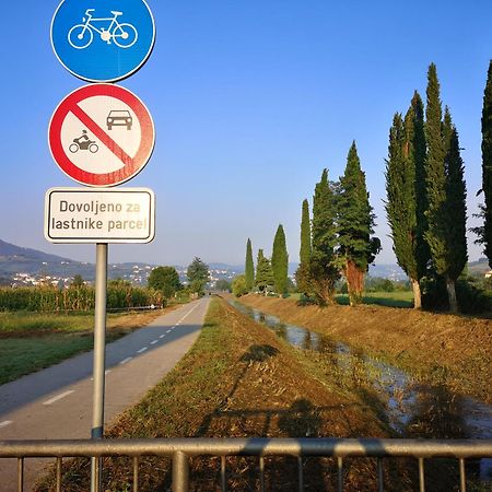 Istrian Lux Residence 科佩尔 外观 照片