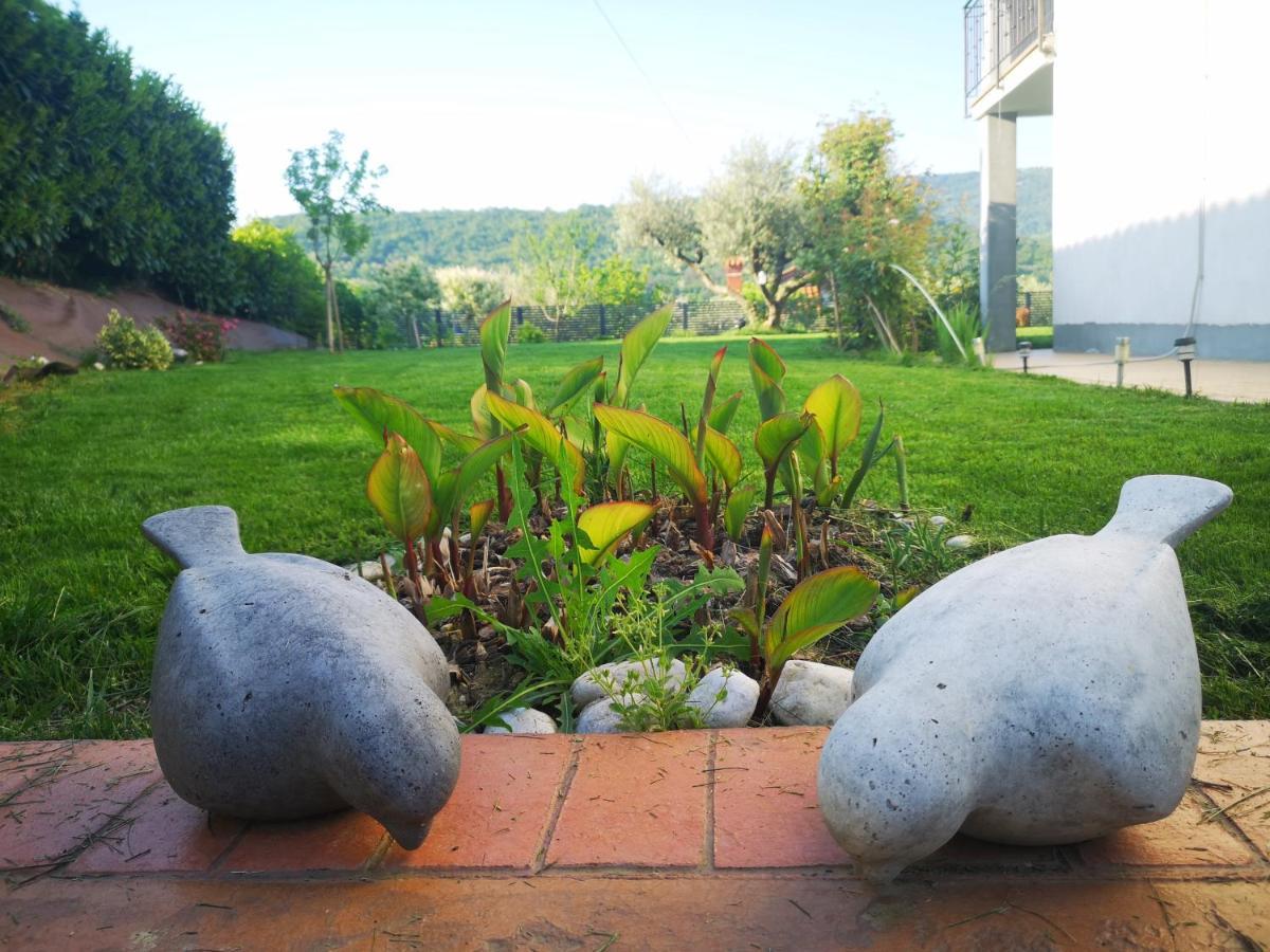 Istrian Lux Residence 科佩尔 外观 照片