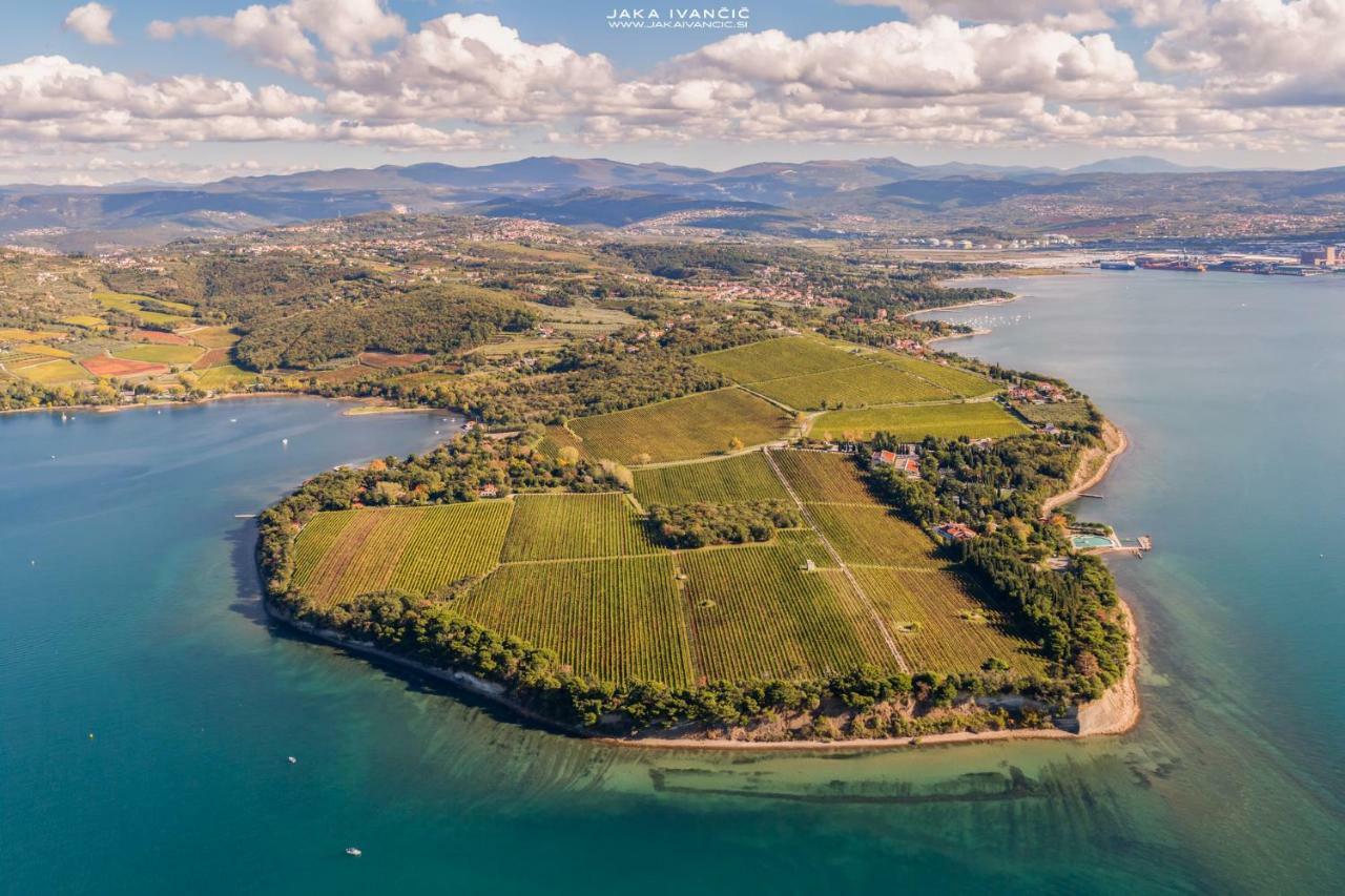 Istrian Lux Residence 科佩尔 外观 照片