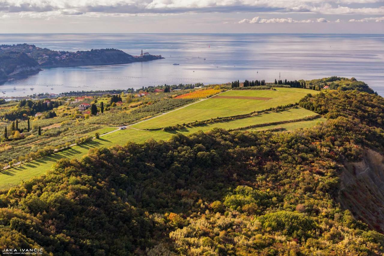 Istrian Lux Residence 科佩尔 外观 照片